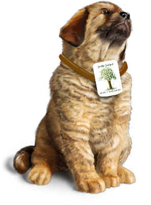 portred van een trouwe hond trouwe hond